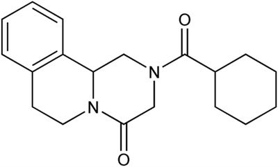 Praziquantel resistance in schistosomes: a brief report